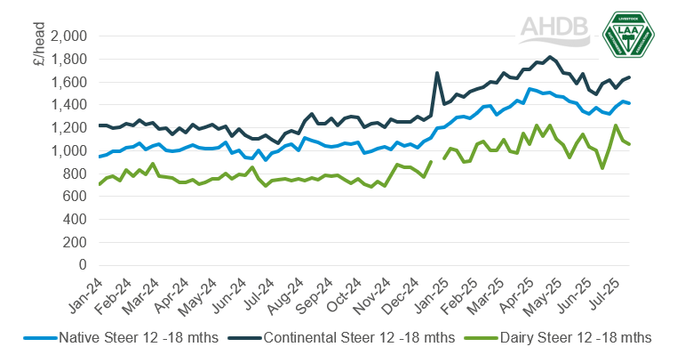 12-18mths store prices